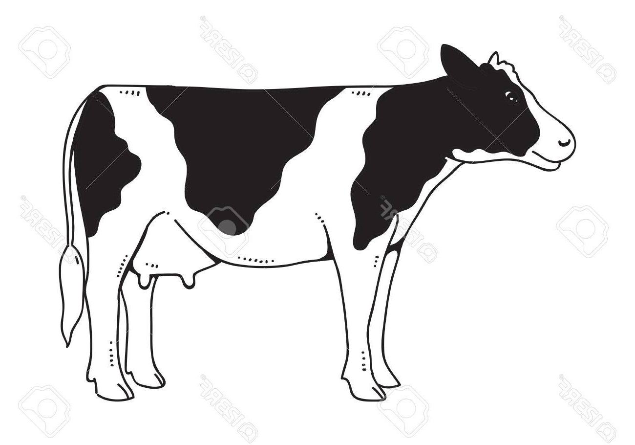 1300x910 Top Drawing Cow Vector Design - Cow Drawing