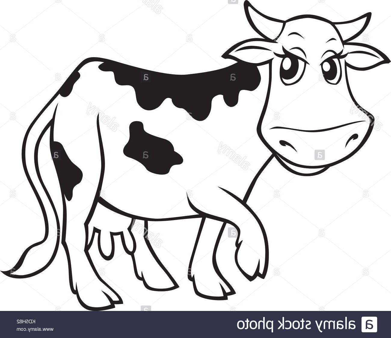 1300x1124 best free beef cattle drawing design - Cow Drawing