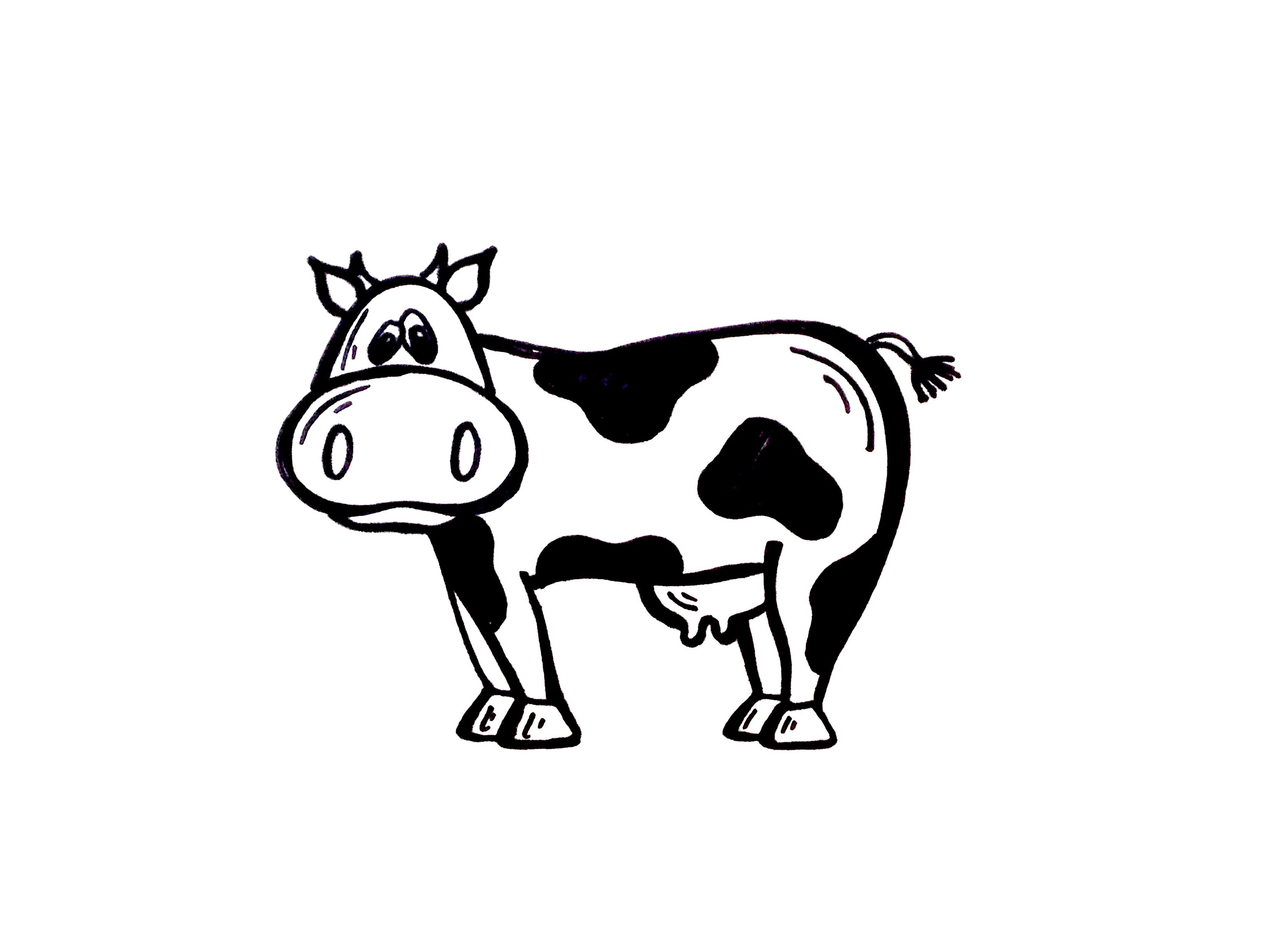 Cute cow outline