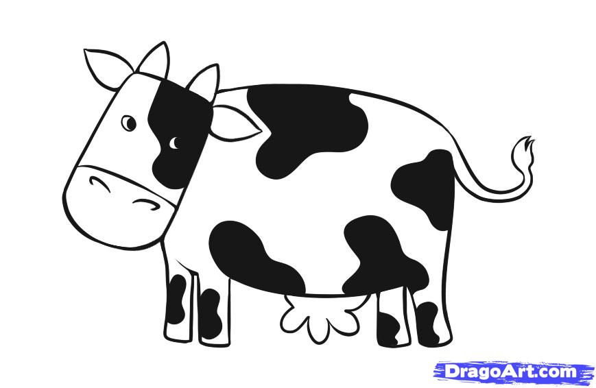 869x566 Draw A Simple Cow, Step - Cow Drawing