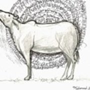 180x180 Cow Composition Drawing Poster - Cow Drawing Art