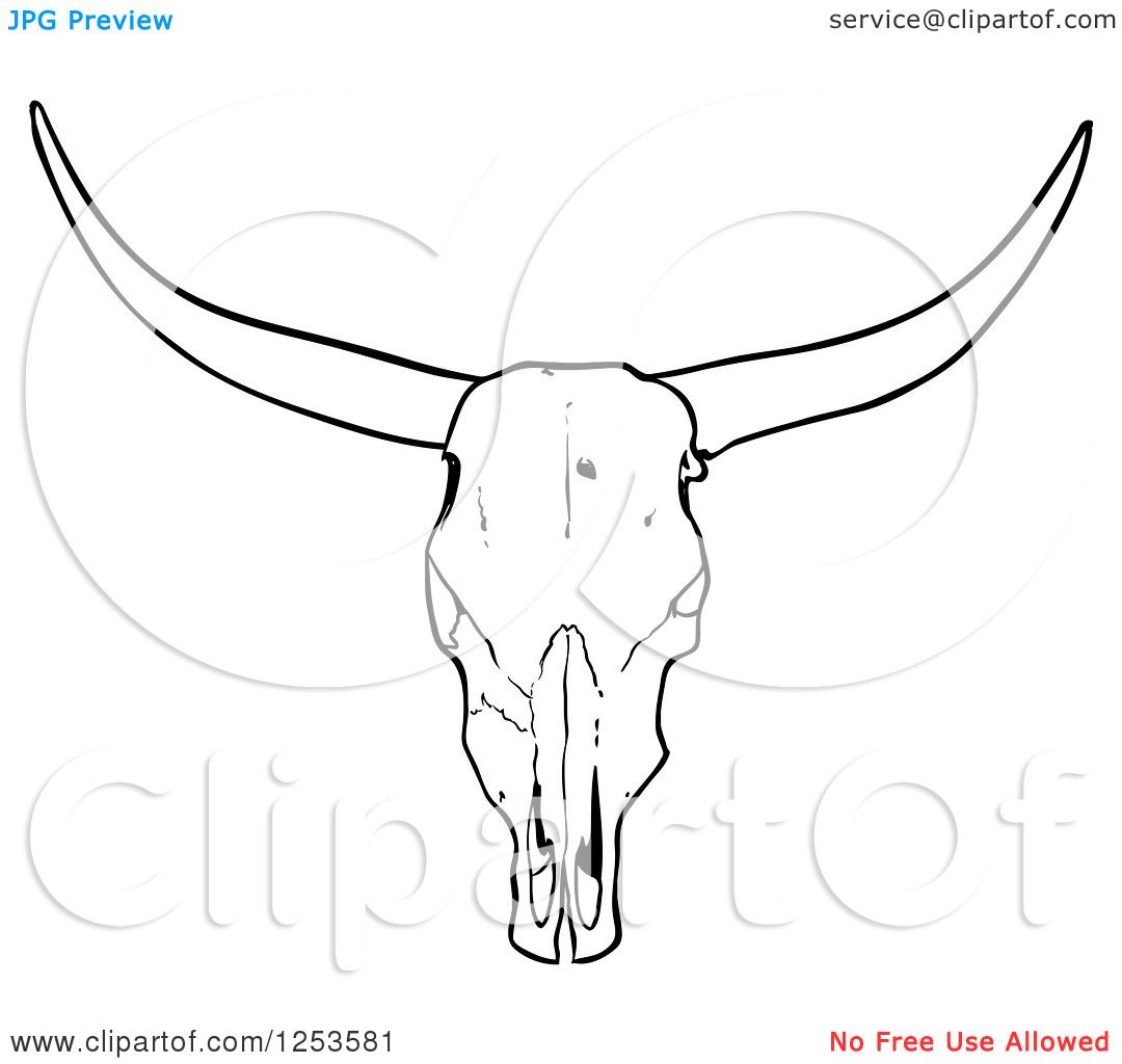 1080x1024 Cow Drawing Art Simple Cartoon Steps Easy Way Of Highland Wmstdc - Cow Drawing Art