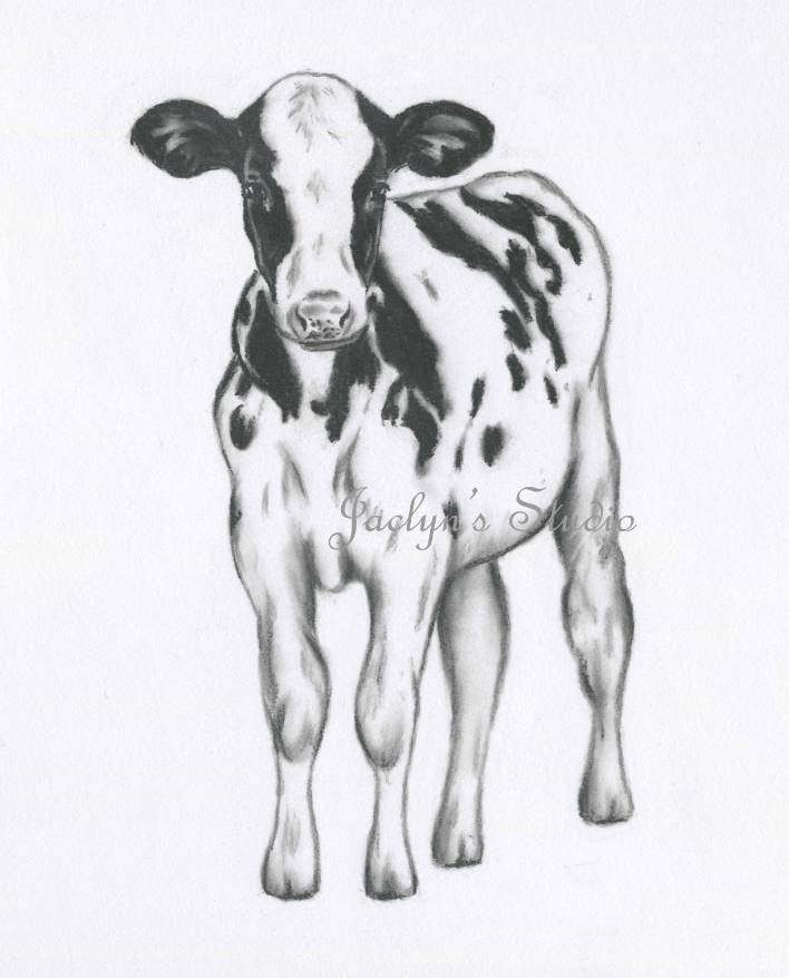 708x878 holstein cow drawing farmhouse decor original cow art cow etsy - Cow Drawing Art