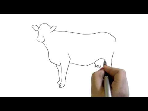 480x360 How To Draw A Cow Simple Easy Drawing Cartoon - Cow Drawing Art