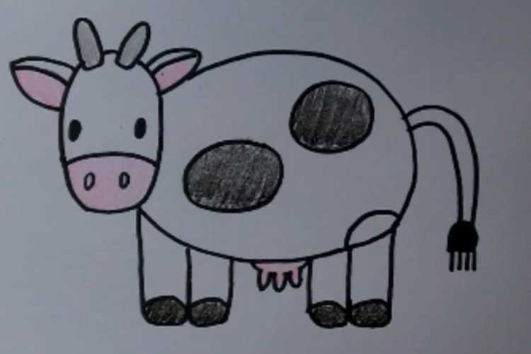 750x500 How To Draw A Cow And Calf Step - Cow Drawing Easy