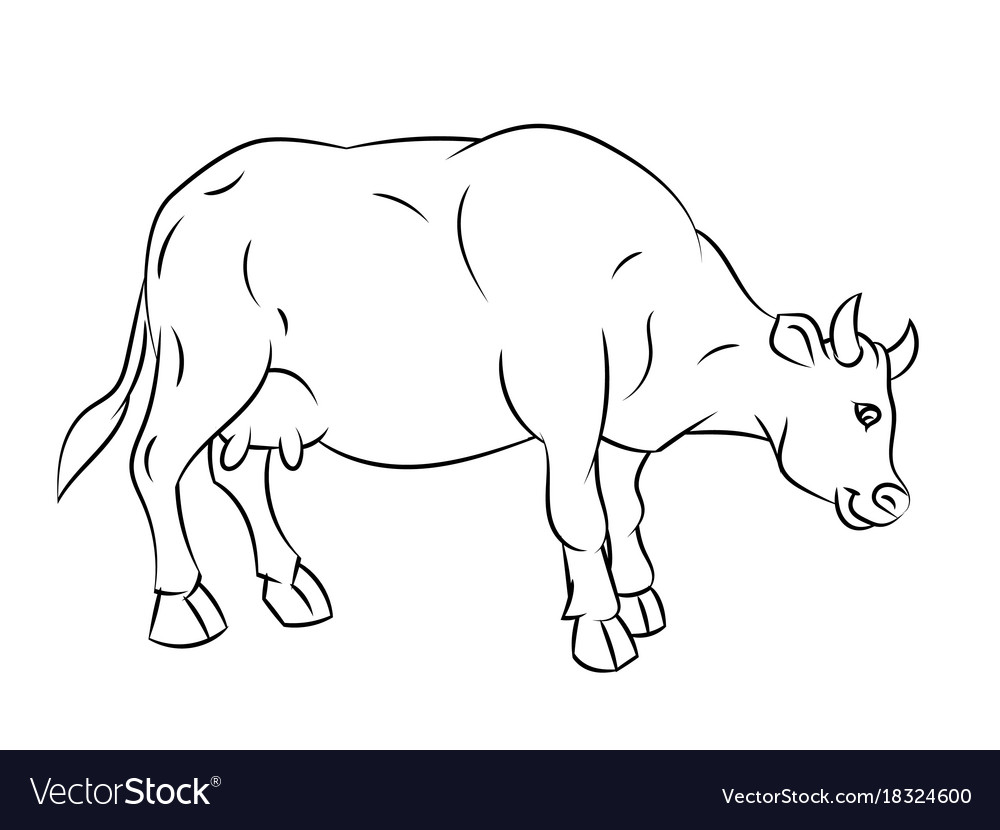 1000x830 Simple Way Of Drawing Cow Pictures And Calf Easy Outline Head Wmstdc - Cow Drawing Easy