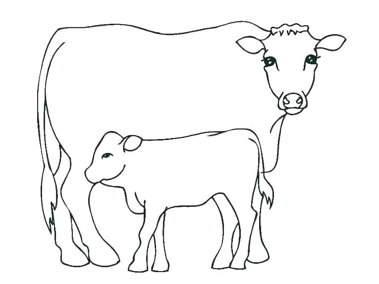 765x574 Easy Drawing Coloring Pages Colouring Cow - Cow Drawing For Kids