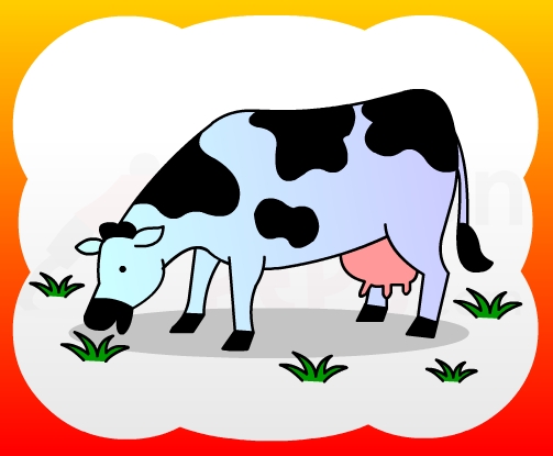 503x415 How To Draw Cow For Kids - Cow Drawing For Kids