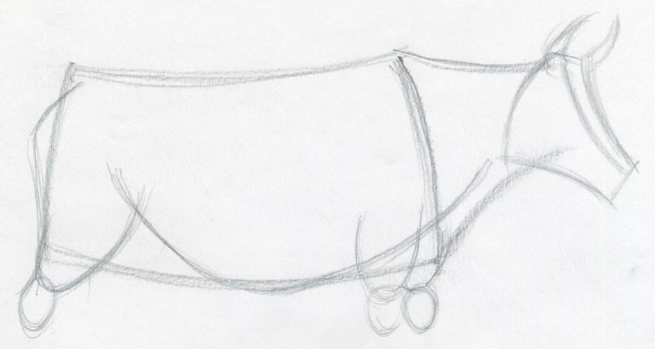 942x502 How To Draw A Cow Step - Cow Drawing Images