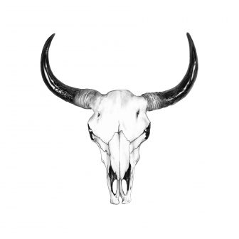 336x336 Cow Line Drawing Art And Calf Parts Simple Outline Clip Skull - Cow Drawing Outline