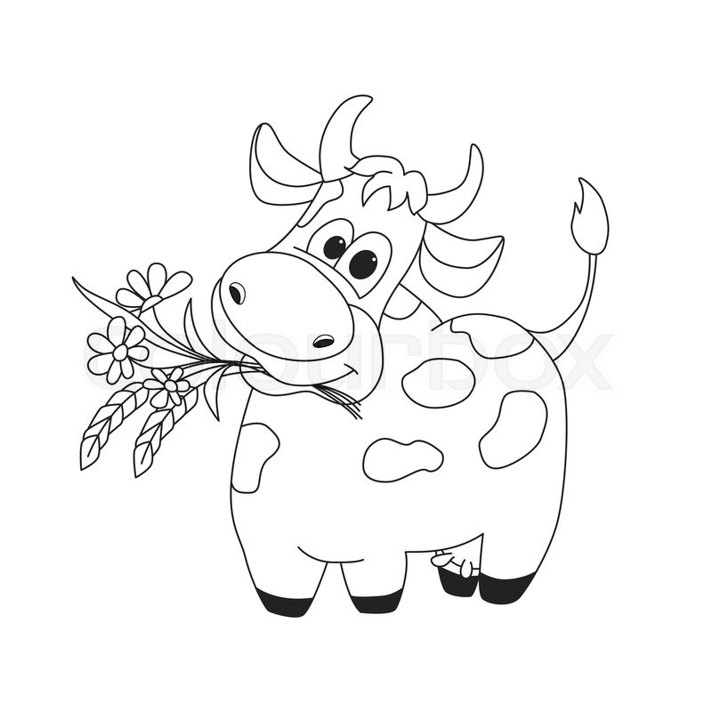 800x800 Outline Illustration Of Cute Cow With Stock Vector Colourbox - Cow Drawing Outline
