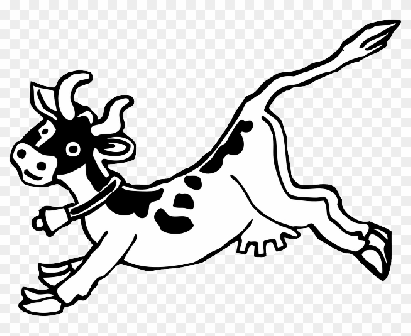 840x686 White Cow, Milk, Farm, Animal, Olxen, Black, Outline - Cow Drawing Outline