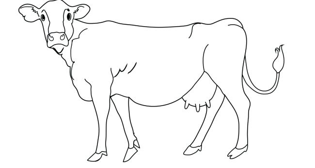 Cow Drawing Outline at PaintingValley.com | Explore collection of Cow ...
