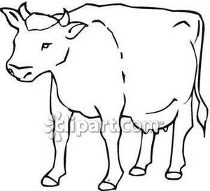 300x273 Clipart Of Cow Outline Collection - Cow Drawing Outline