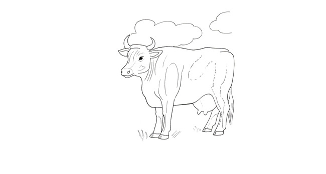650x348 Cow Template - Cow Drawing Pictures