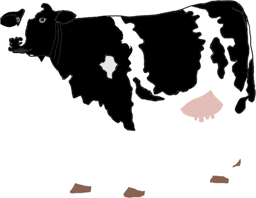 500x387 Cow Drawing - Cow Drawing Pictures