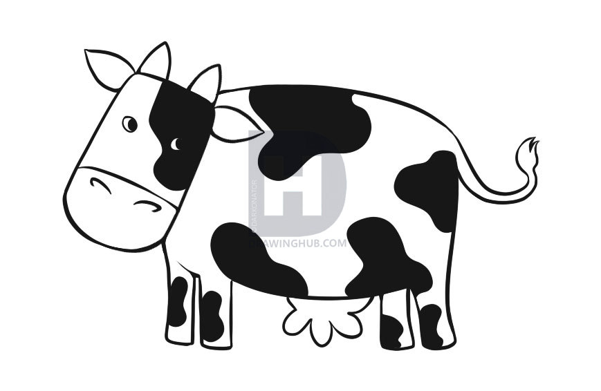 869x566 Cow Drawing Free Download - Cow Drawing Pictures