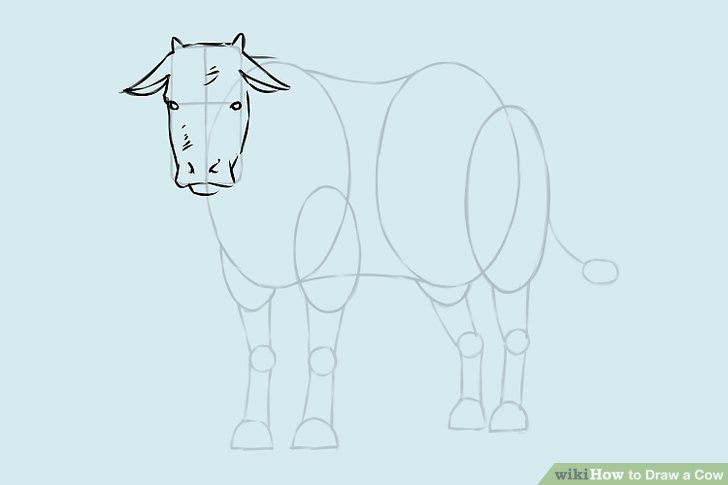 728x485 Ways To Draw A Cow - Cow Drawing Pictures