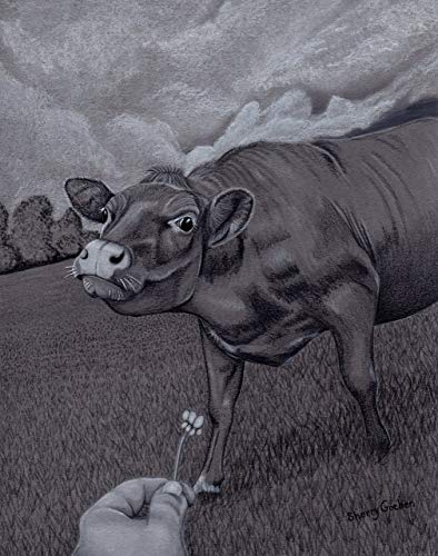 394x500 cow dairy original art colored pencil - Cow Drawing Pictures