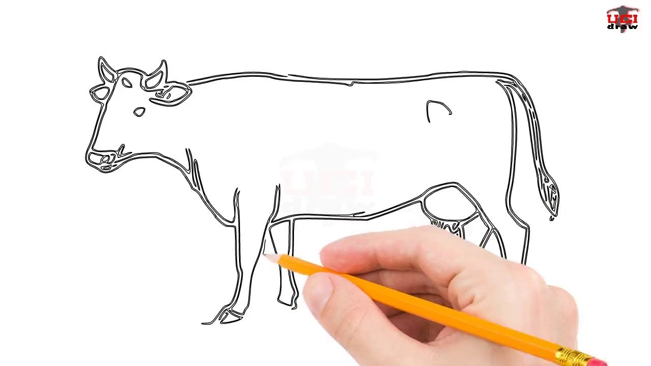 1280x720 How To Draw A Cow Step - Cow Drawing Step By Step