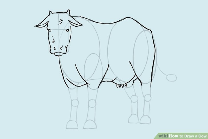 728x485 Ways To Draw A Cow - Cow Drawing Step By Step