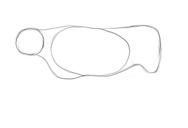 600x409 How To Draw A Cow Step - Cow Drawing Step By Step