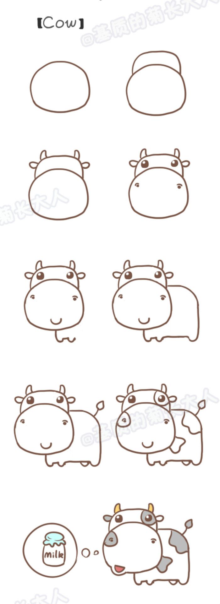 700x1923 Step - Cow Drawing Step By Step