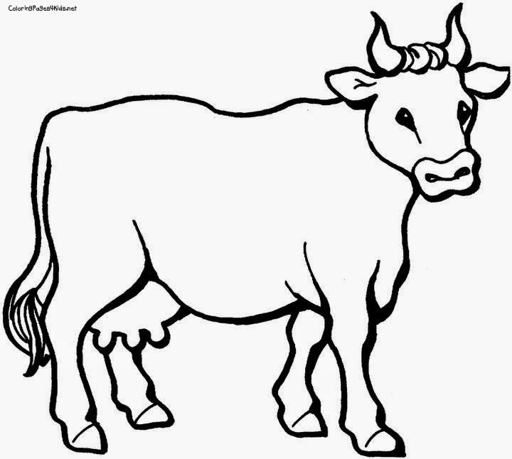 720x646 Huge Collection Of 'cow Drawing Pic' Download More Than Images - Cow Easy Drawing