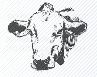 340x270 Cow Face Dxf Etsy - Cow Face Drawing