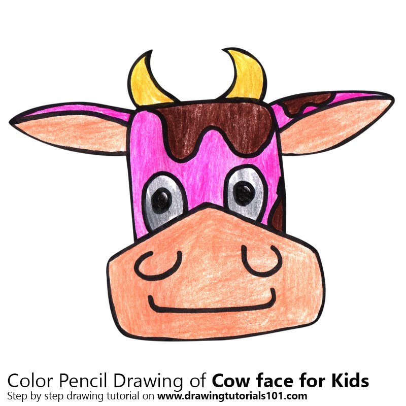 800x800 Learn How To Draw A Cow Face For Kids - Cow Face Drawing