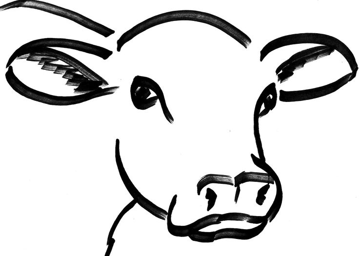 20+ Fantastic Ideas Easy Simple Cow Face Drawing | Barnes Family