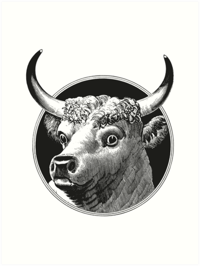 413x549 cow head drawing art prints - Cow Head Drawing