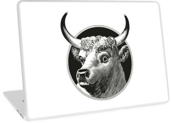 558x400 cow head drawing laptop skins - Cow Head Drawing