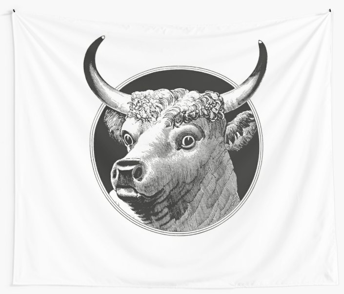 705x602 cow head drawing wall tapestries - Cow Head Drawing