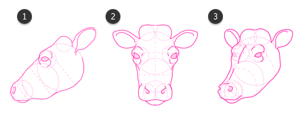 600x242 how to draw animals cows and other bovines - Cow Head Drawing
