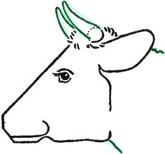 236x221 huge collection of 'cow head drawing' download more than - Cow Head Drawing