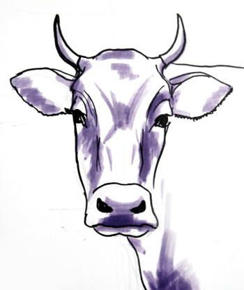 350x415 bull head drawing art in cow drawing, cow face, cow - Cow Head Drawing