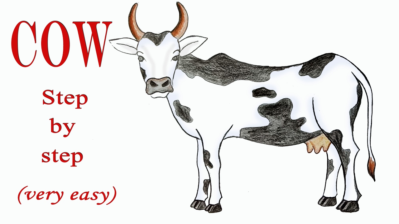 1280x720 How To Draw A Cow Step - Cow Images Drawing