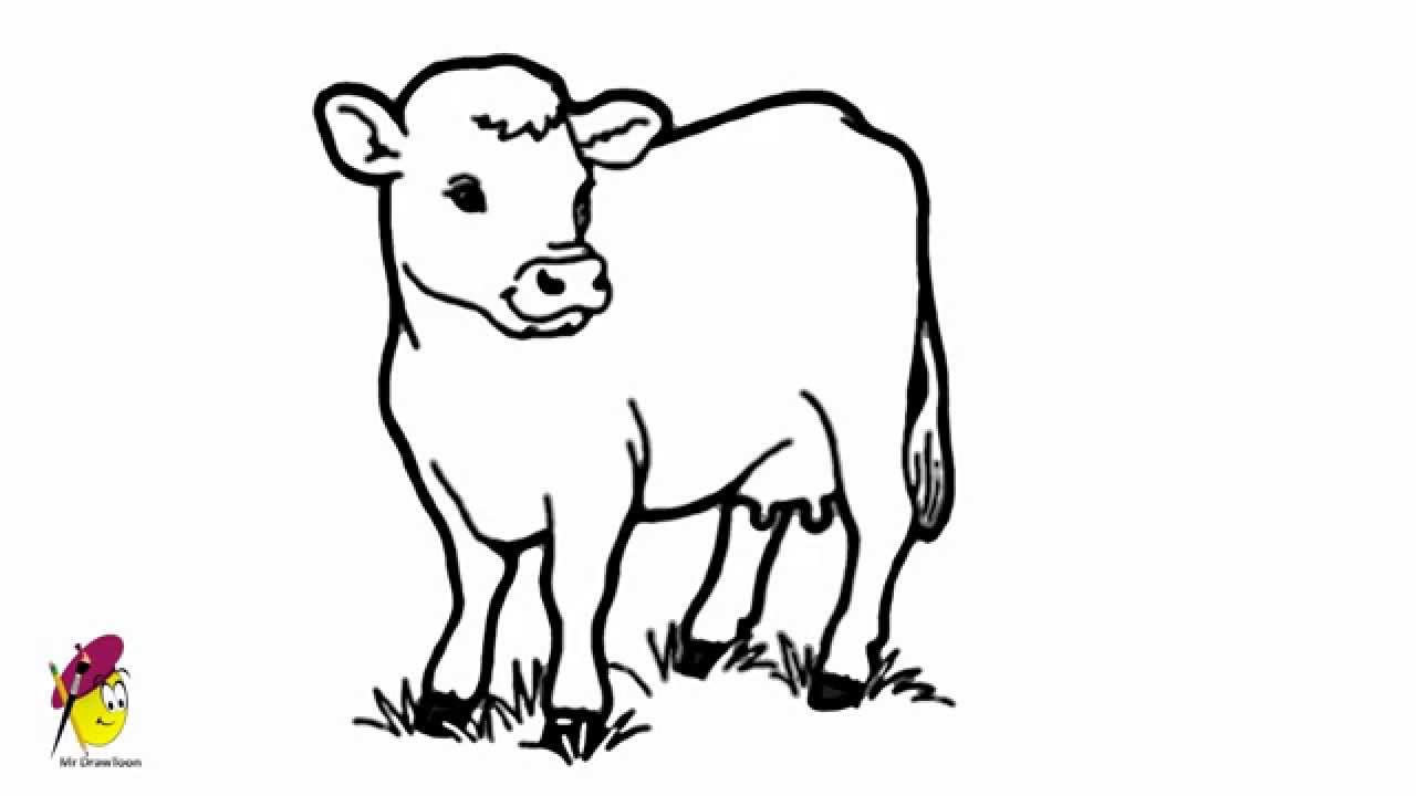 1280x720 Cow - Cow Images Drawing
