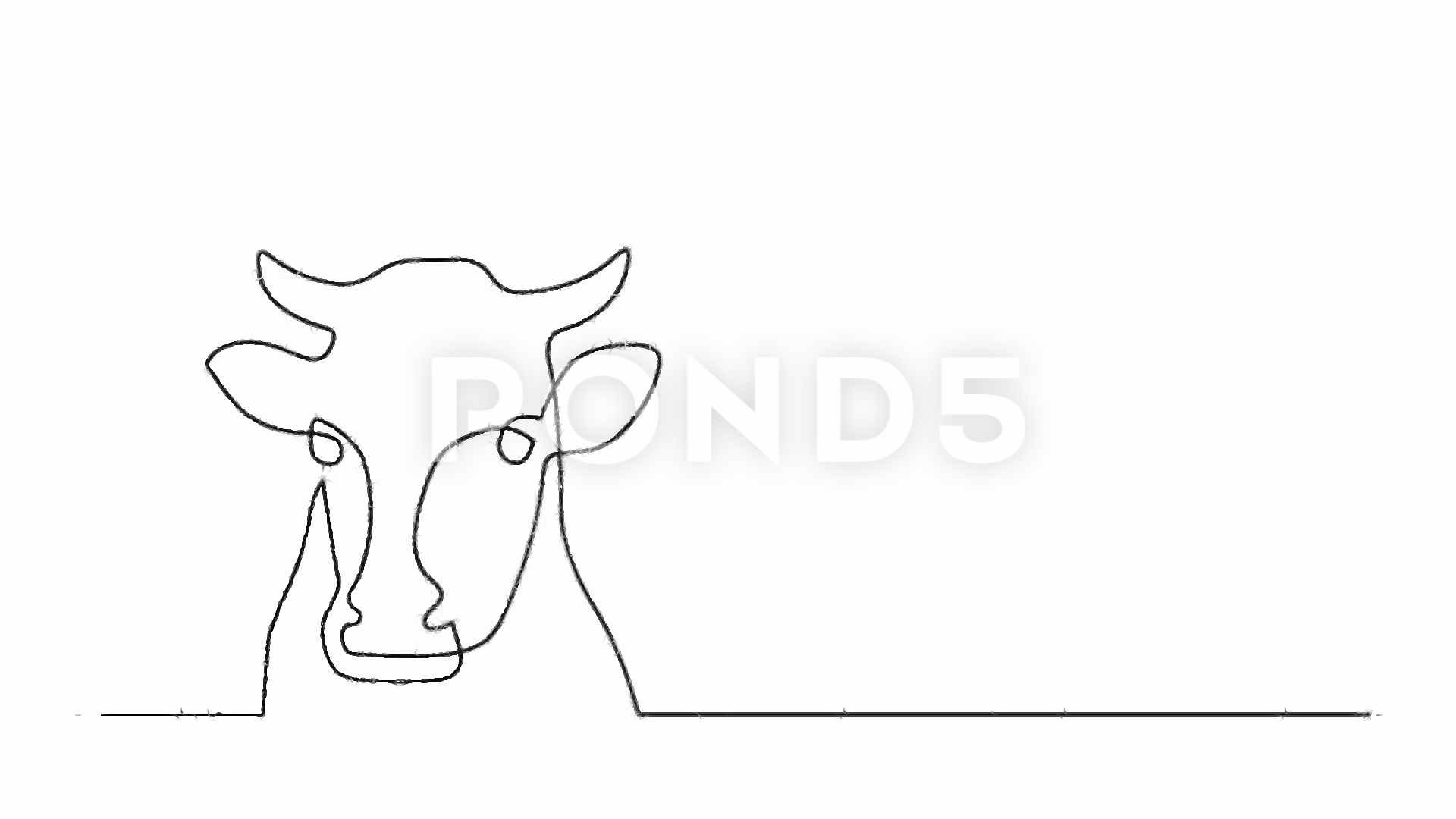 1920x1080 Continuous Line Drawing Of Cow Stock Footage - Cow Line Drawing
