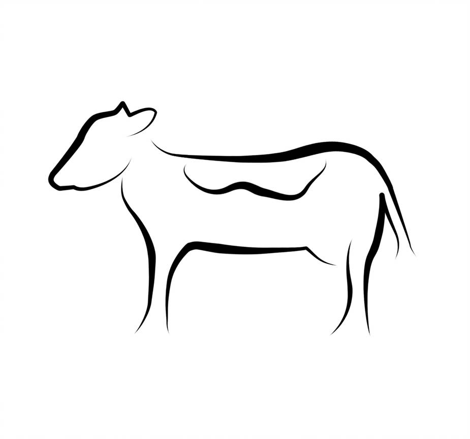 925x864 Cow Line Art - Cow Line Drawing