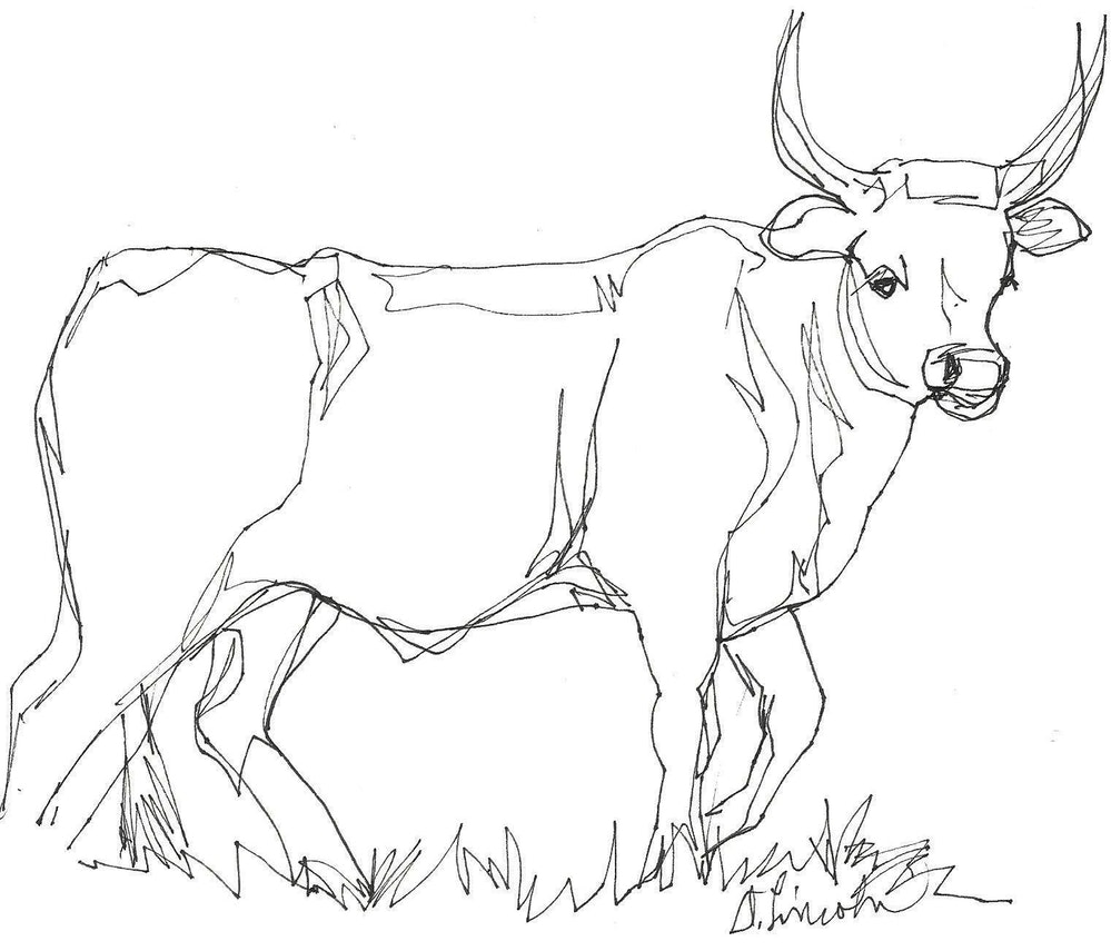 Cow Line Drawing at Explore collection of Cow Line