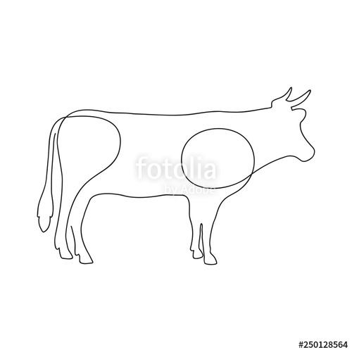 500x500 Cow One Continuous Line Drawing Vector Illustration Stock Image - Cow Line Drawing