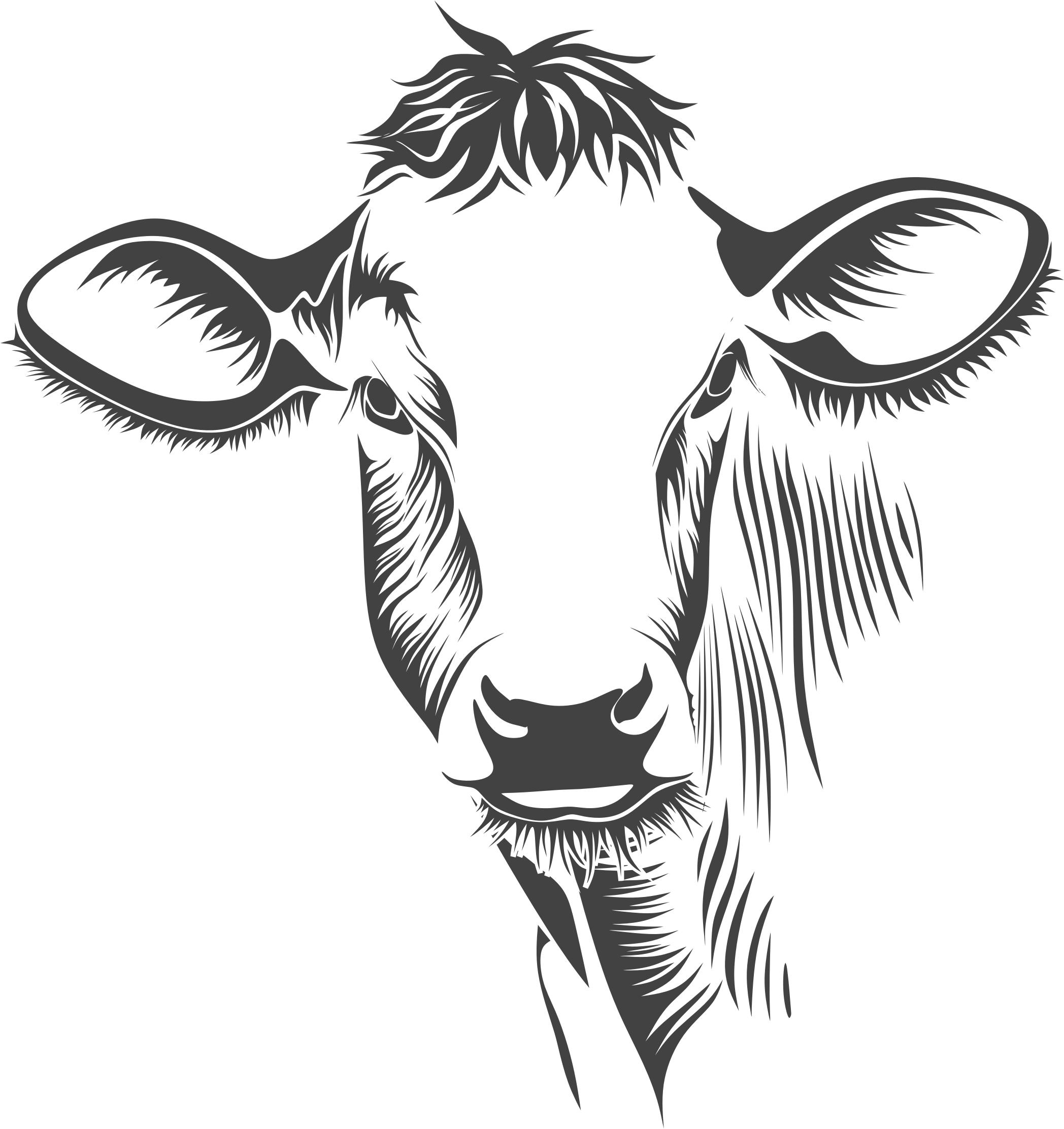 Cow Line Drawing at Explore collection of Cow Line