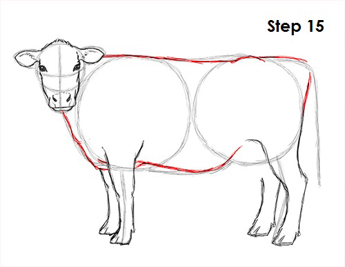 500x386 How To Draw A Cow - Cow Line Drawing