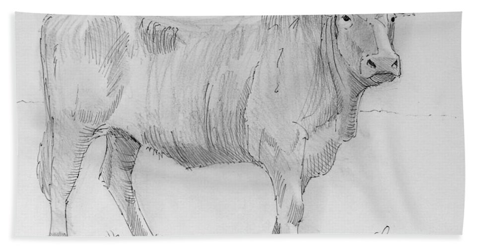 967x500 Cow Pencil Drawing Hand Towel For Sale - Cow Pencil Drawing