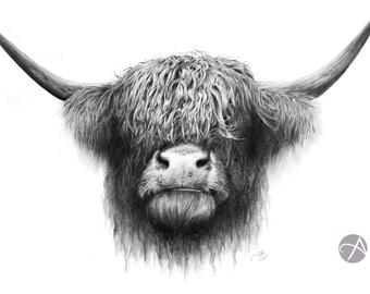 340x270 Cow Pencil Drawing Etsy - Cow Pencil Drawing
