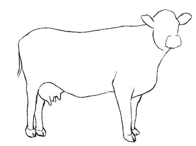 Cow Simple Drawing at PaintingValley.com | Explore collection of Cow ...