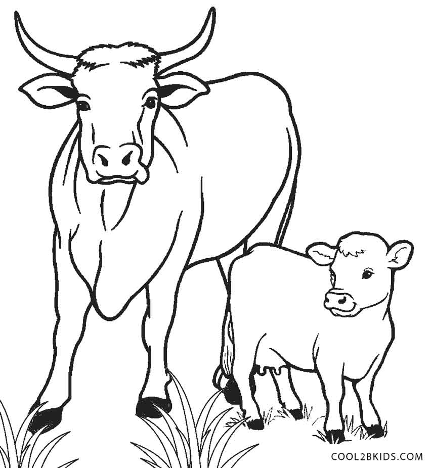 850x926 Emerging Cow Drawings For Kids Learn How To Draw A Animals Easy - Cow Simple Drawing