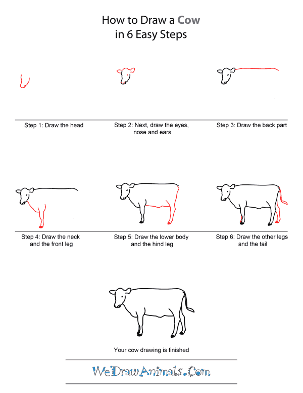 600x776 How To Draw A Cow - Cow Simple Drawing